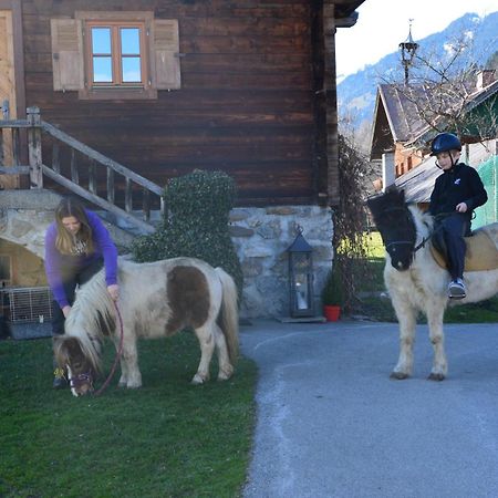 Ferienhaus Bognerhof Sankt Veit im Pongau Extérieur photo