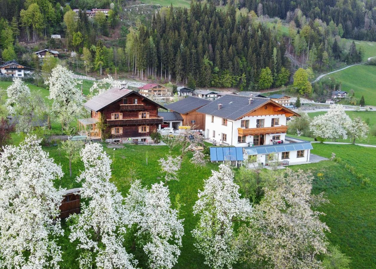 Ferienhaus Bognerhof Sankt Veit im Pongau Extérieur photo